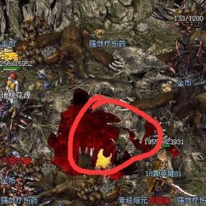迷失传奇之赤月恶魔降临，勇闯魔域新篇章