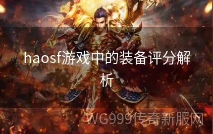  haosf与神圣战甲术的卓越组合：对团队影响的深度剖析