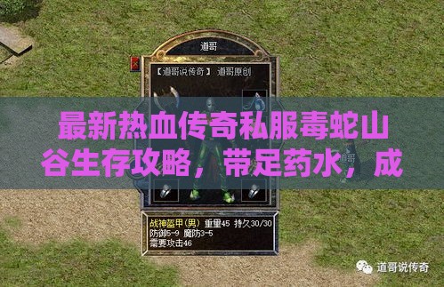 最新热血传奇私服毒蛇山谷生存攻略，带足药水，成为无敌战神！