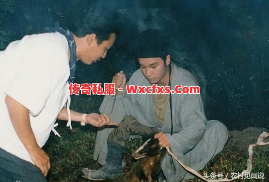 千年树妖能爆出很多的好装备 千年树妖能爆出很多的好装备